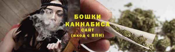 ешки Верхний Тагил